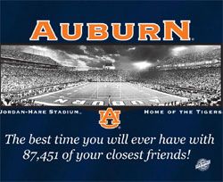 Auburn Tigers Football T-Shirts - Welcome to My House Jordan Hare Stadium