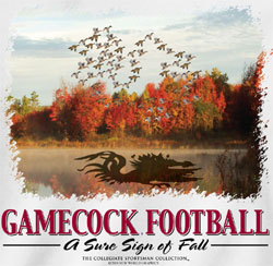 South Carolina Gamecocks Football T-Shirts - Duck Fall Formation